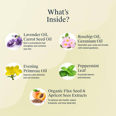 Arata Hydrating Face Duo