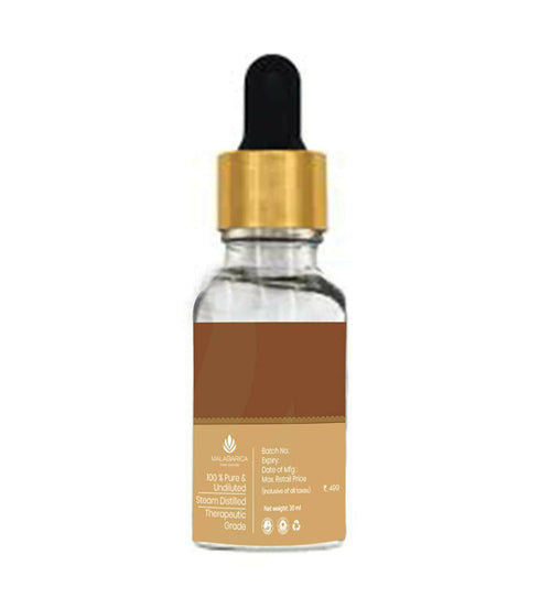 Malabarica Ginger Essential Oil