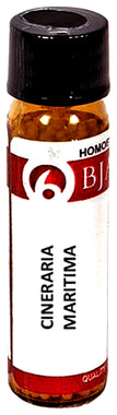 Bjain Cineraria Maritima Globules 3X 6GM