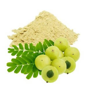 Hebsur Herbals Amla Powder