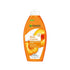 Garnier Body Cocoon Intense Moisturizing Lotion