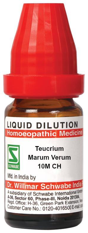 Dr Willmar Schwabe India Teucrium Marum Verum Dilution 10M CH