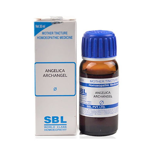 SBL Angelica Archangelica Mother Tincture Q
