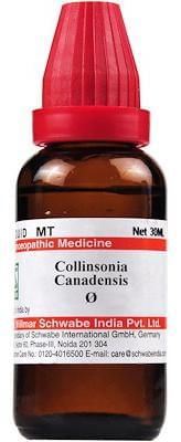 Dr Willmar Schwabe India Collinsonia Canadensis Mother Tincture Q