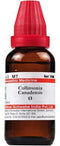 Dr Willmar Schwabe India Collinsonia Canadensis Mother Tincture Q