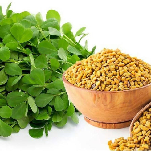Freshon Fenugreek Seeds | Methi Seeds