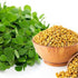 Freshon Fenugreek Seeds | Methi Seeds