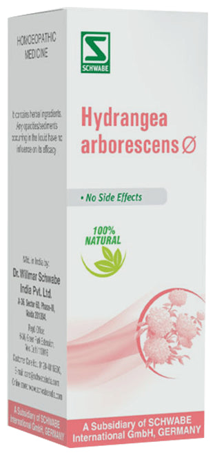 Dr Willmar Schwabe India Hydrangea Arborescens Mother Tincture Q