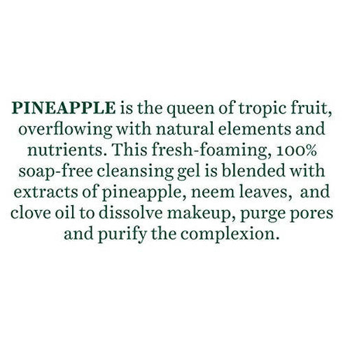 Biotique Advanced Ayurveda Bio Pineapple Oil Control Foaming Face Cleanser 120ml