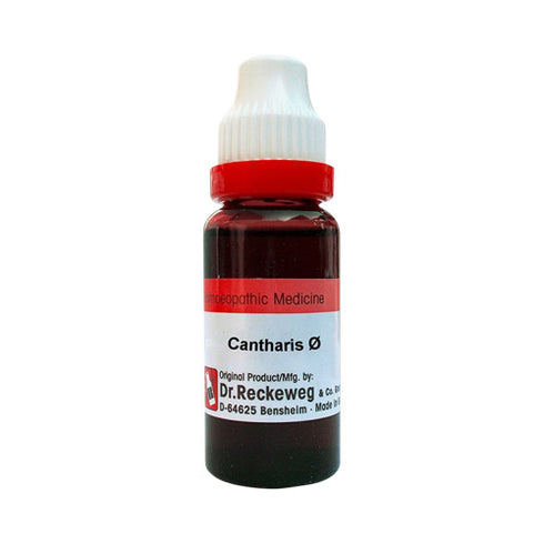 Dr. Reckeweg Cantharis Mother Tincture Q