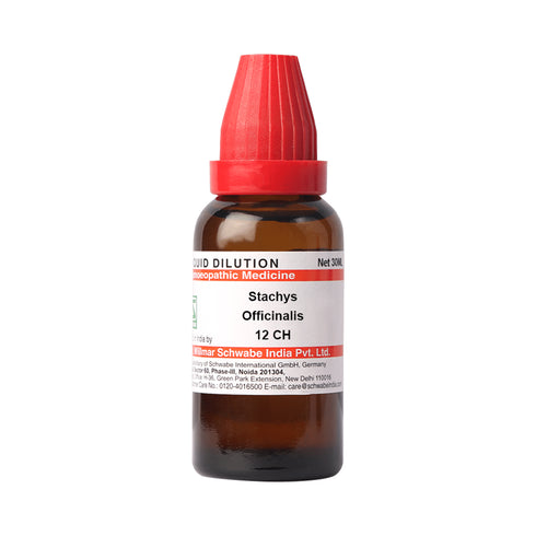 Dr Willmar Schwabe India Stachys Officinalis Dilution