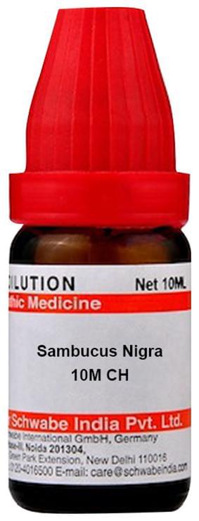Dr Willmar Schwabe India Sambucus Nigra Dilution 10M CH