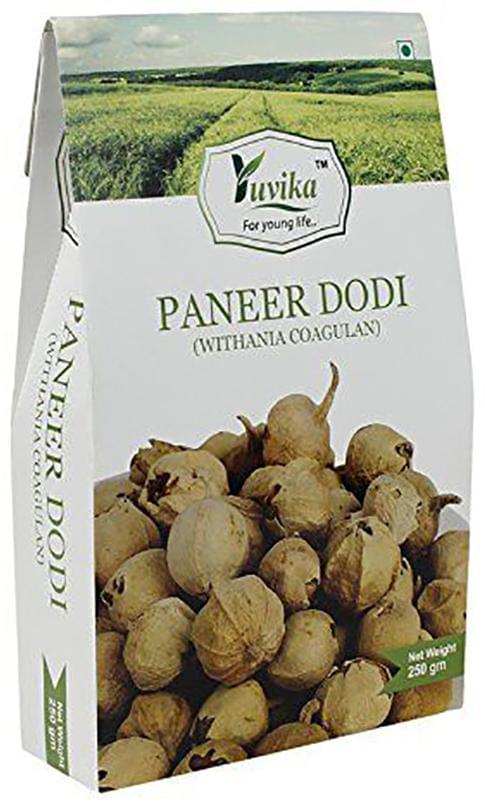 Yuvika Paneer Dodi | Paneer Ke Phool | Withania Coagulan 250g