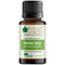 Bliss of Earth Premium Indian Essential Oil Organic Basil