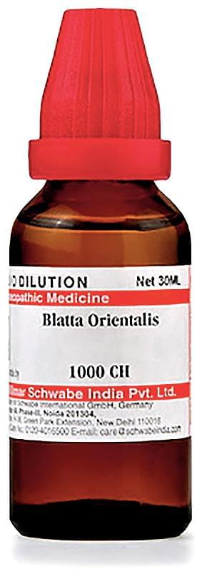 Dr Willmar Schwabe India Blatta Orientalis Dilution 1000 CH