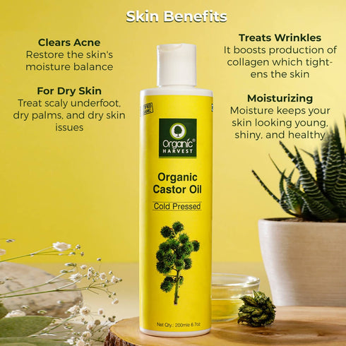 Organic Harvest Kumkumadi Oil With Saffron
