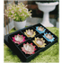 Brass Decorative Deepak Pack Of 6 Pcs 0.025Kg
