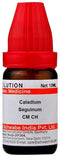 Dr Willmar Schwabe India Caladium Seguinum Dilution CM CH
