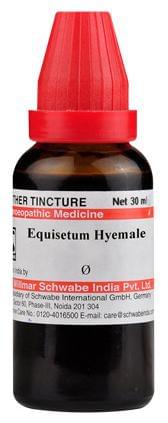 Dr Willmar Schwabe India Equisetum Hyemale Mother Tincture Q