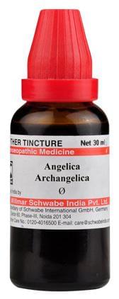 Dr Willmar Schwabe India Angelica Archangelica Mother Tincture Q