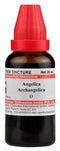 Dr Willmar Schwabe India Angelica Archangelica Mother Tincture Q