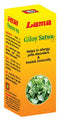 Lama Giloy Satwa 50g
