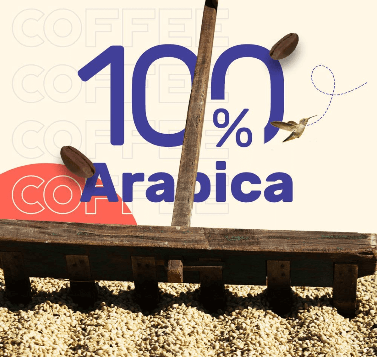 hot brew coffee bags dark roast