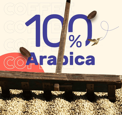hot brew coffee bags assorted