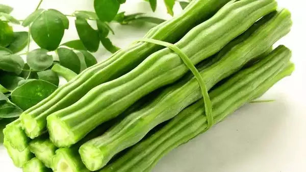 Drumstick(Dhaata) - PUSHMYCART