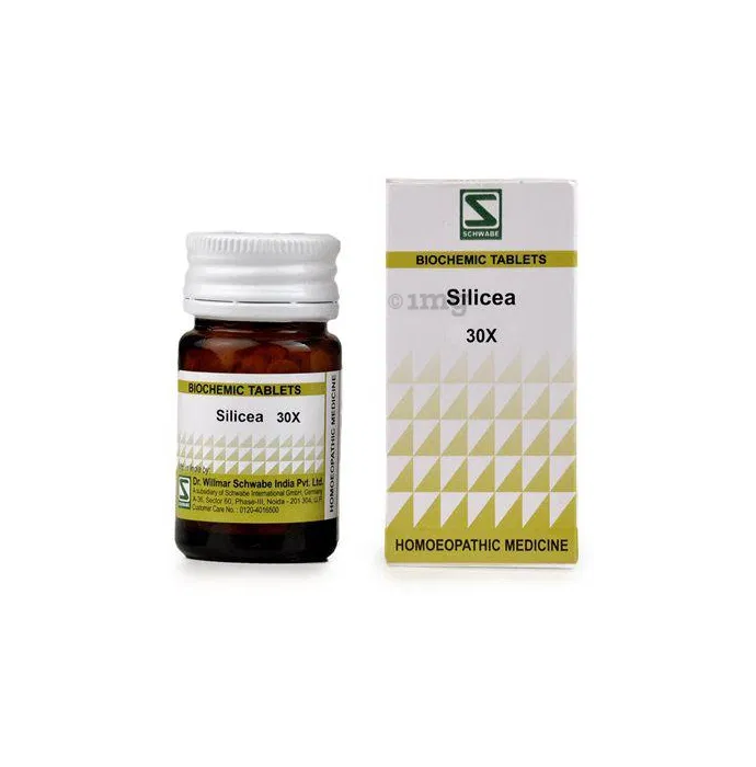 Dr Willmar Schwabe India Silicea Biochemic Tablet 30X - PUSHMYCART