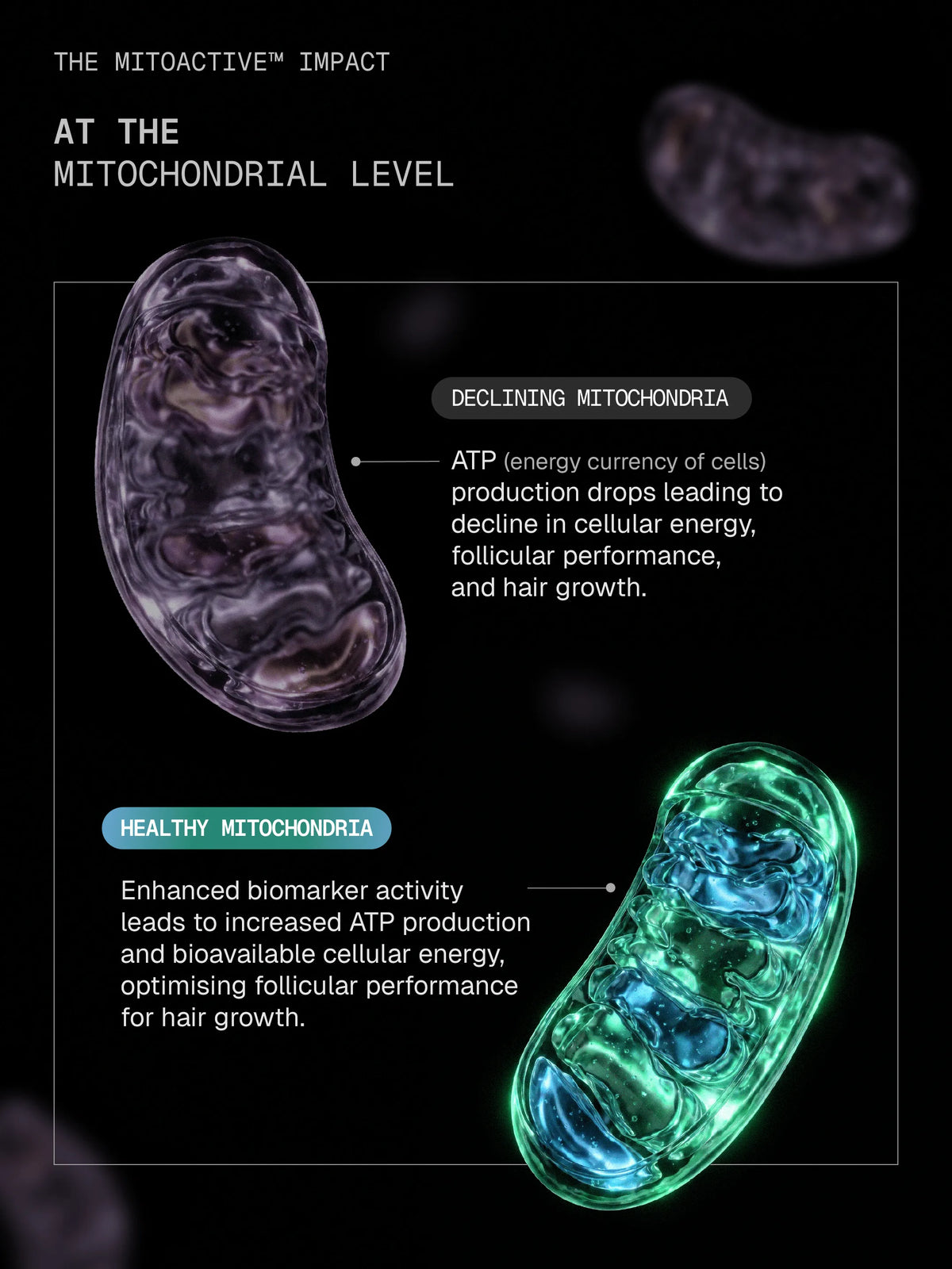 Arata MitoActive Mitochondrial Hair Growth Serum 30 ml