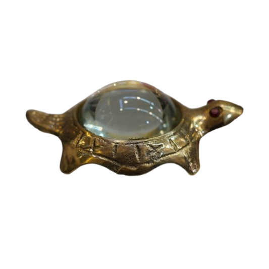 Decorative Brass Kachua with Glass 105g (Pack of 2)