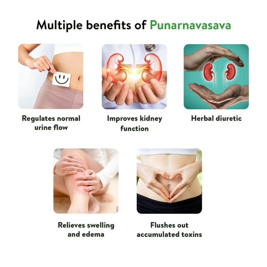 Kerala Ayurveda Punarnavasavam - PUSHMYCART