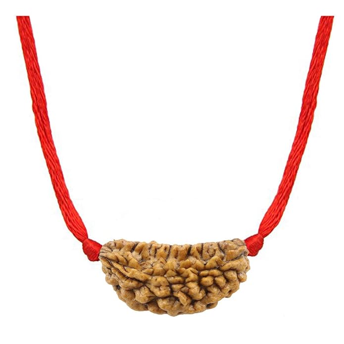 Natural Certified Nepali Rudraksha (Pack of 1) - PUSHMYCART