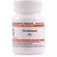 Willmar Schwabe India Orchitinum 3X (20g) - PUSHMYCART