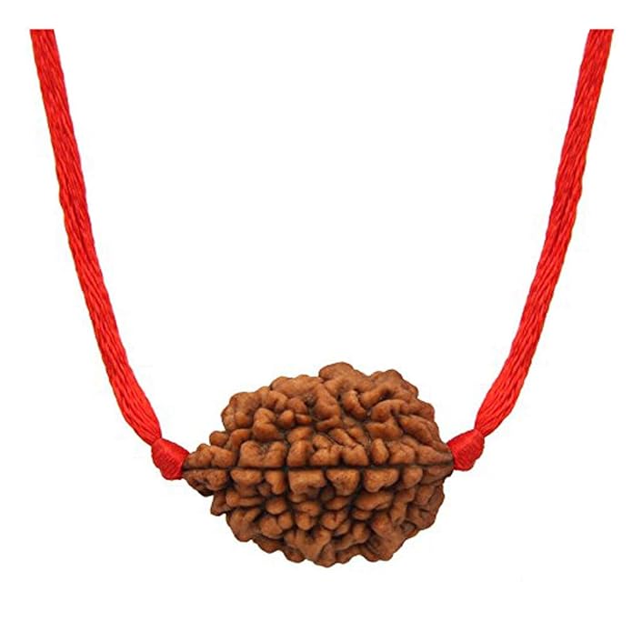Natural Certified Nepali Rudraksha (Pack of 1) - PUSHMYCART