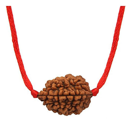 Natural Certified Nepali Rudraksha (Pack of 1) - PUSHMYCART