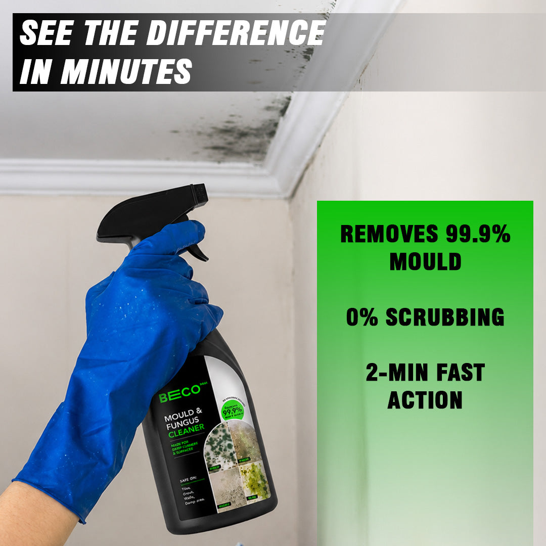 BECO Mould and Fungus Cleaner image 2