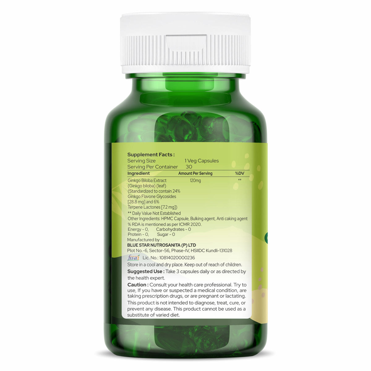 Organic Zing Ginkgo Biloba Extract 120mg 30 Capsules