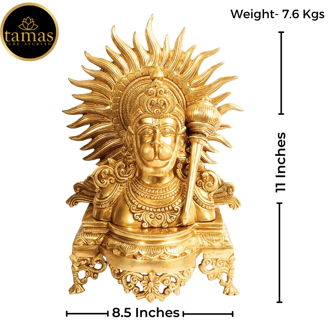Tamas Brass Lord Hanuman ji Bust with Gada on Shoulder Murti - PUSHMYCART