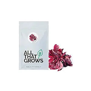 AllThatGrows Red Amaranthus Seeds 
