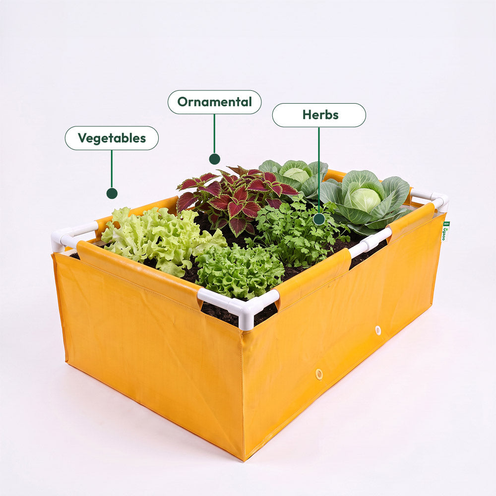 Ugaoo HDPE 360 GSM Rectangular Raised Grow Bag with Support Frame Yellow