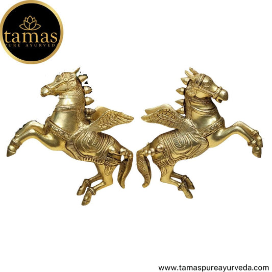 Tamas Brass Handcrafted Pegasus (Flying Angel Horse) with Antique Finish (2 x 9 x 7 Inches, Golden)