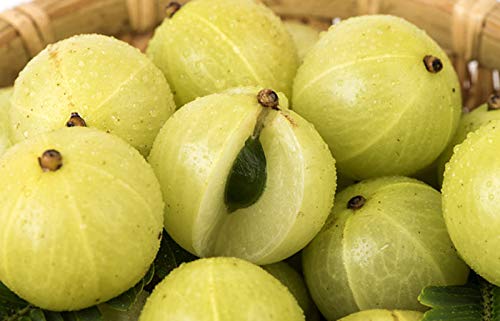 Jioo Organics Whole Amla Sun-Dried - PUSHMYCART