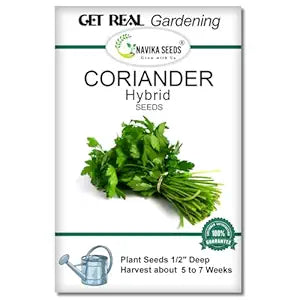 Navika Seeds Coriander Seeds 