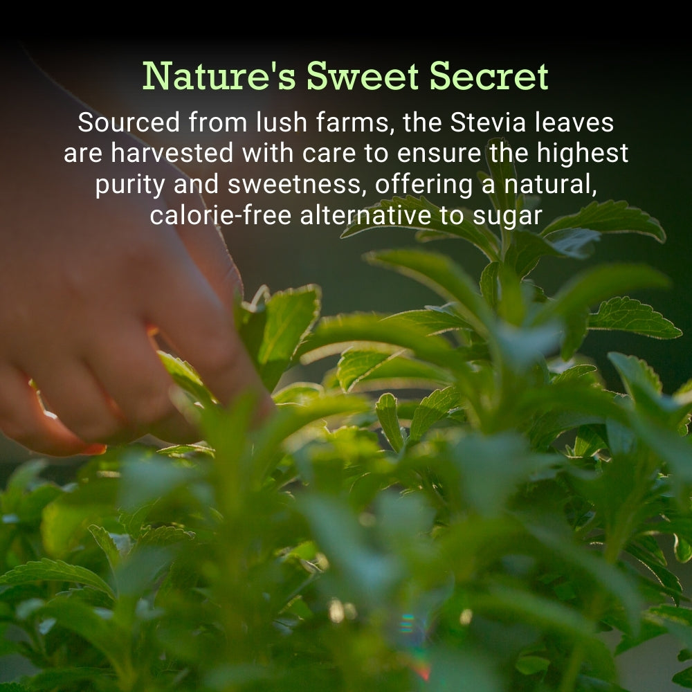 First Bud Organics Stevia Drops Liquid 20 ml