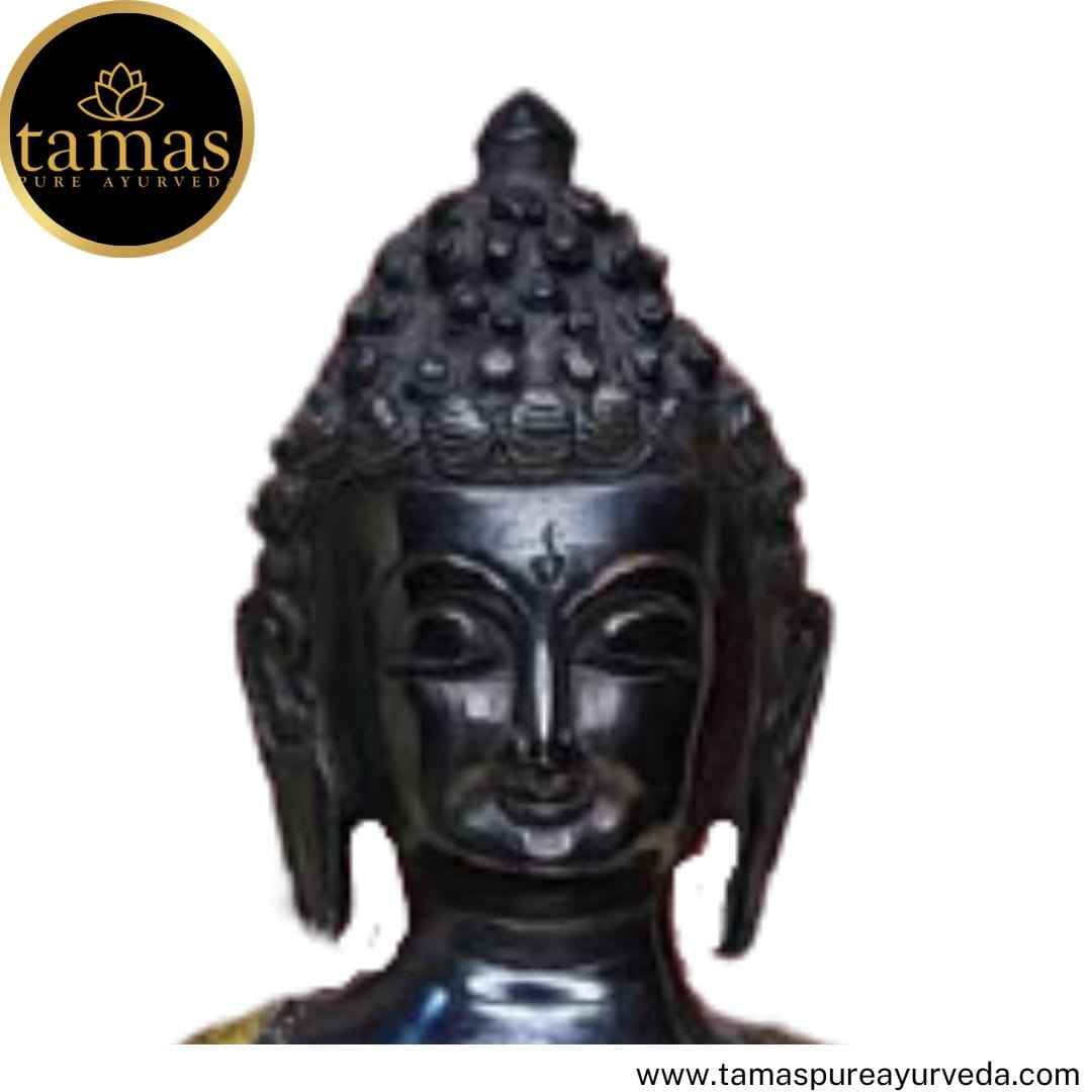 Tamas Brass Handcrafted Lord Buddha Statue / Idol with Antique Finish (Golden & Black) (Pack of 1) - PUSHMYCART