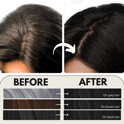 Paradyes Natural Black Timeless Hair Tint