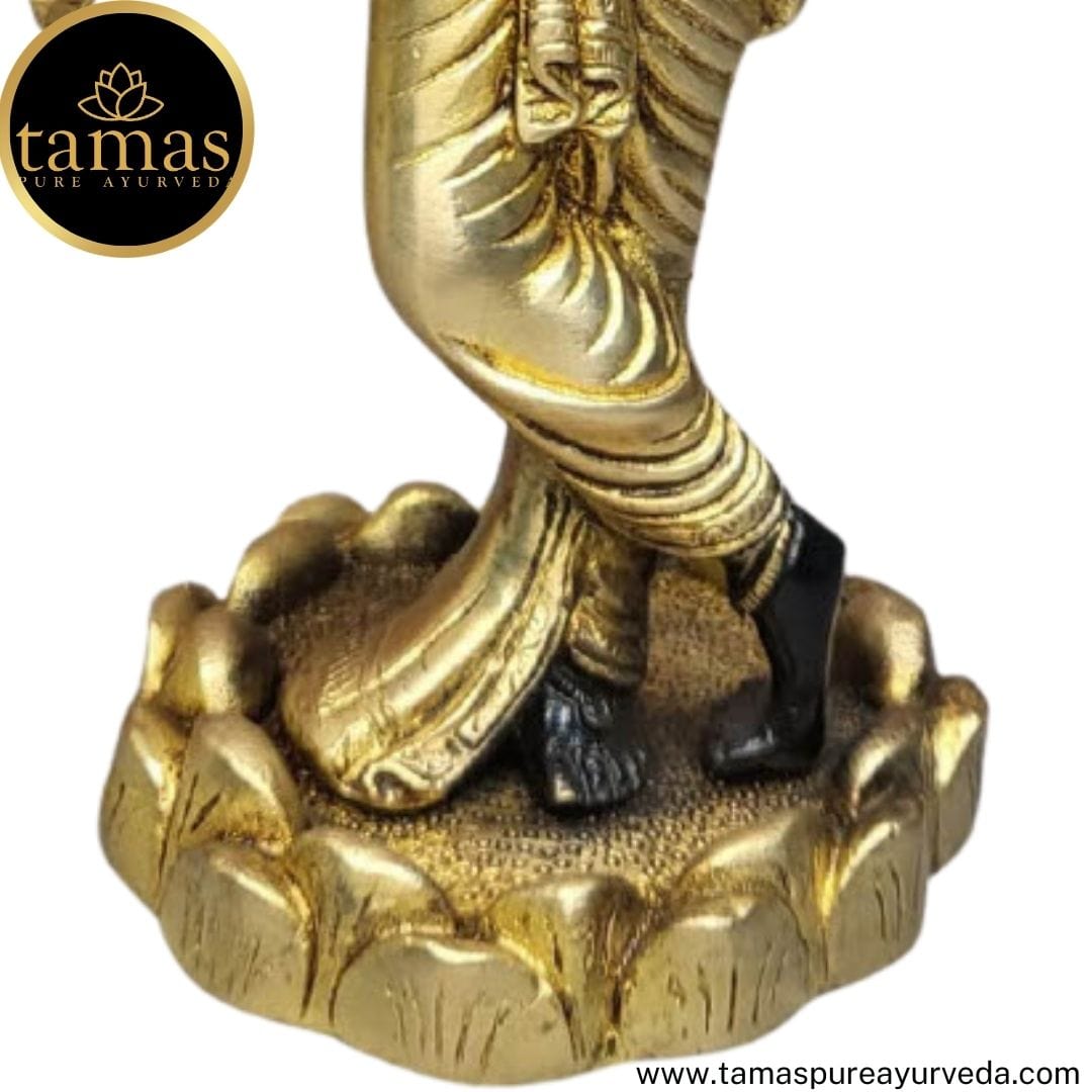 Tamas Brass Handcrafted Lord Krishna Murti Statue/ Idol with Antique Finish ( Black & Golden) (Pack of 1) - PUSHMYCART