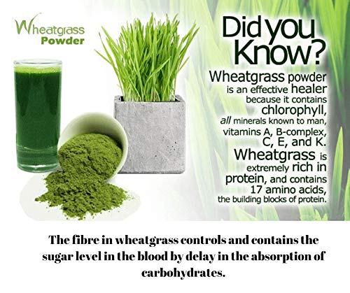 Herbal Hills Ayurveda Wheat-O- Powder